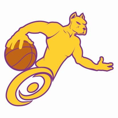 Club Deportivo de Basquetbol sobre silla de ruedas, recientemente constituidos por basquetbolistas de Alto Rendimiento