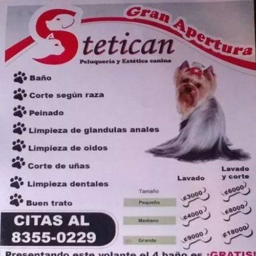 Te brindamos el mejor servicio para que tu mascota este siempre bello y sano.
