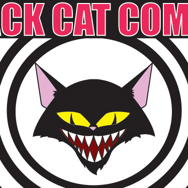 I'm the owner of Black Cat Comics in Sugarhouse, Utah. We're a several time Best of Utah winner, love comics, and provide a safe comic experience for all!