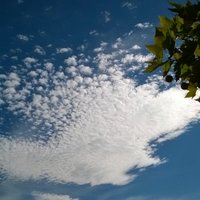 concha casas (@currelator) 's Twitter Profile