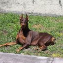 Gail Van Auker - @GailAuker - Twitter