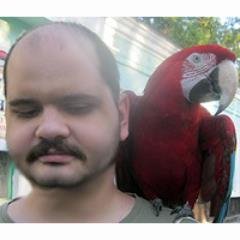 m_elensule Profile Picture
