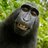 pasalga's profile image