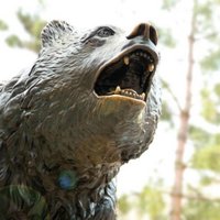 UCLA Transfer Staff (@uclatransfer) 's Twitter Profile