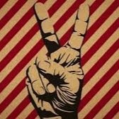 matdcarr's profile picture. 