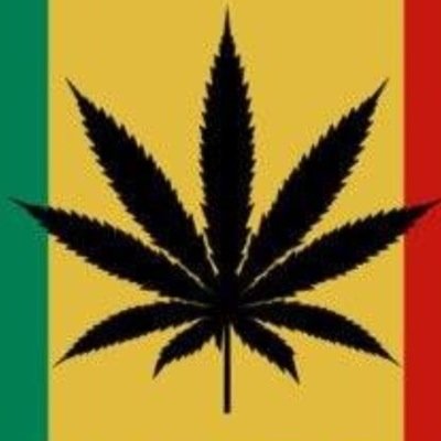 AverageStonner's profile picture. Just an everyday stonner life