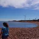 Lori Windle - @LoriWindle - Twitter