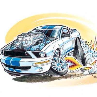 Any and all things mustang! Stop by our facebook page and give us a like!