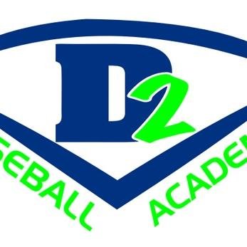 Baseball instruction, Hitting, pitching, defense, video analysis