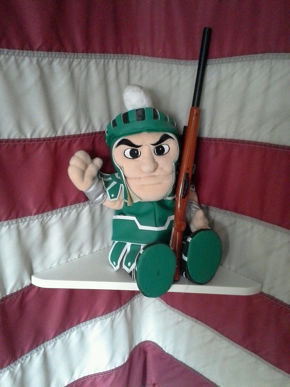 themsubear's profile picture. MSU Evans scholar
future eye doctor