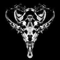 Richard Devine (@richarddevine) 's Twitter Profile Photo