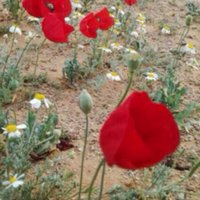 '' (@xa305xa) 's Twitter Profile