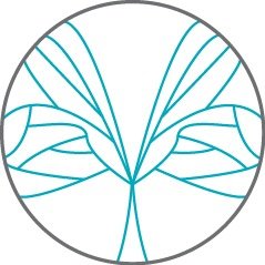 Francesca lily yoga welcomes you to group and private classes in a tranquil environment, to discover, learn, challenge, relax and immerse yourself in yoga.