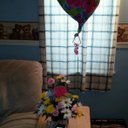 Jennifer Hans Vogt - @vogt_jennifer - Twitter