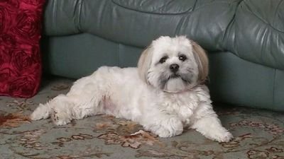 Adams963's profile picture. 