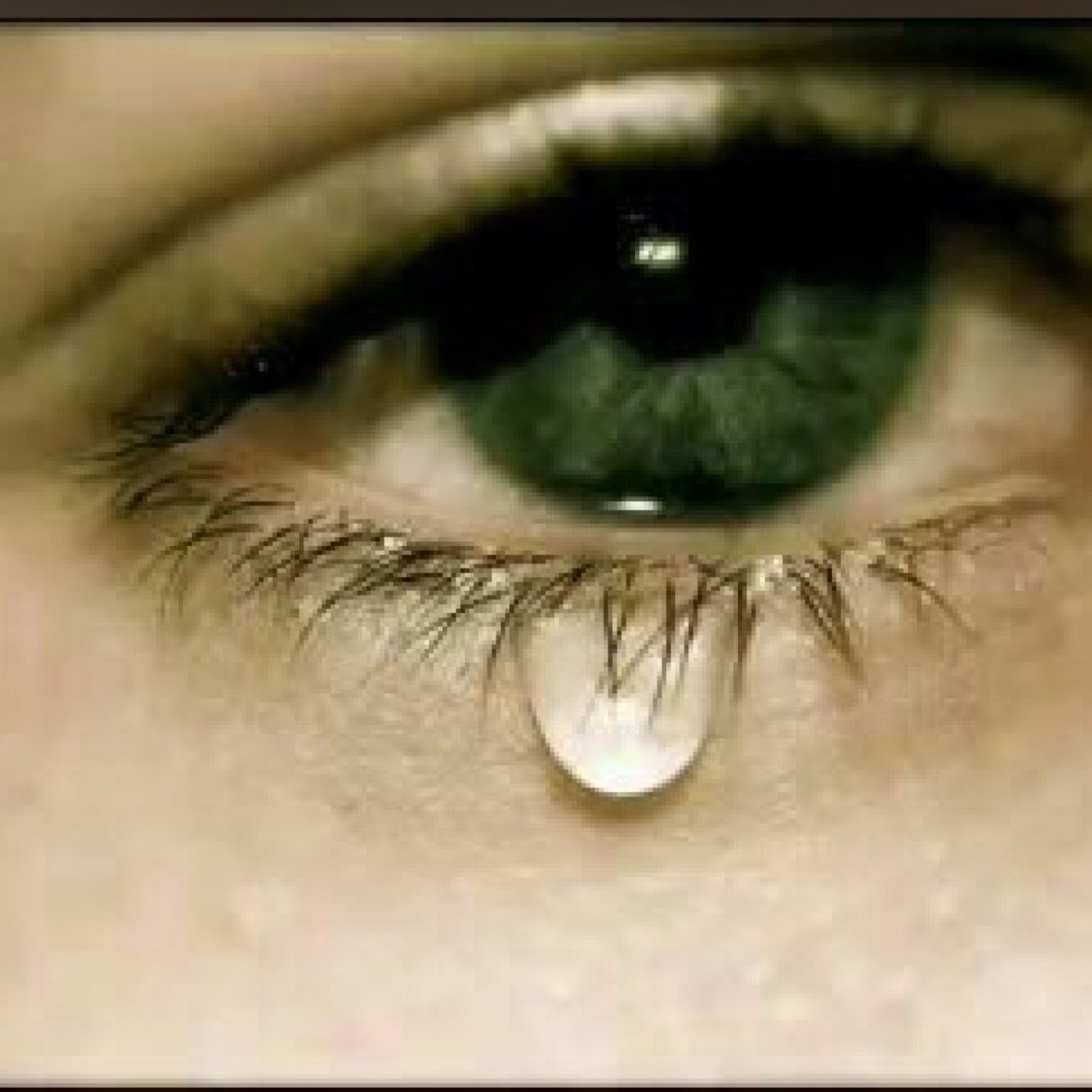 متذوقه الى شعر