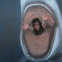 Andrea Elston (@andreamelston) 's Twitter Profile