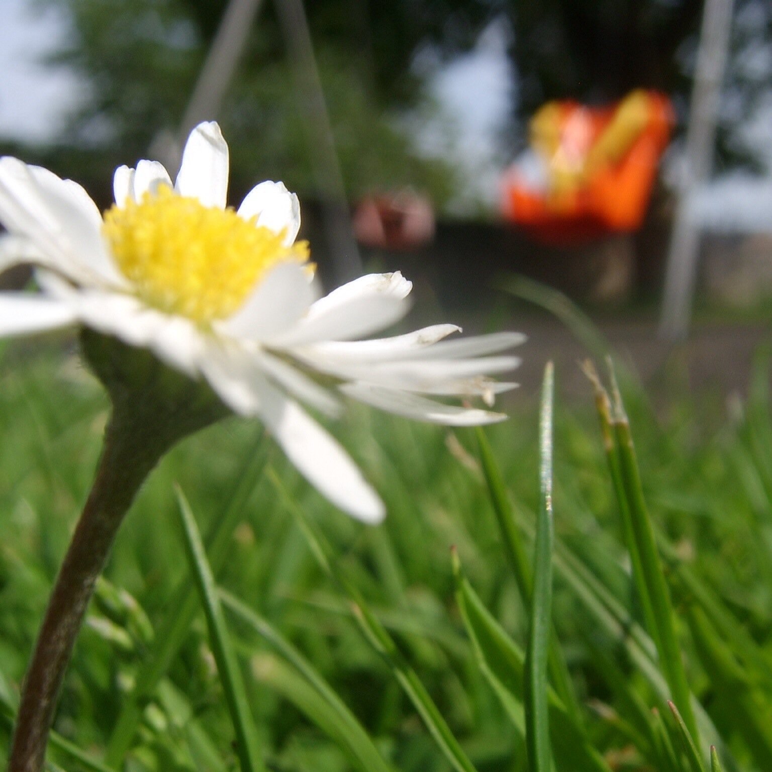 LightburnPark's profile picture. Friends of Lightburn Park - working together for the park's future. If you want to join us and/or volunteer lightburnpark@gmail.com like us on FB