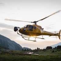 Kelsey Wheeler (@helikelsey) 's Twitter Profile