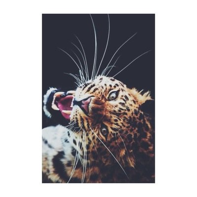 Pour les gens qui ne comprennent pas le second degré, passez votre chemin. Pour les personnes avec un minimum d'humour, ☁️suivez moi.☁️