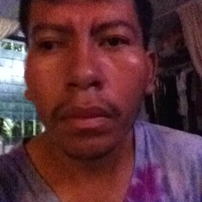 Ola david