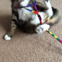 Emma Fish - @EmmerFish - Twitter