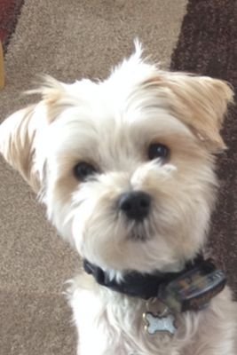 BudnickCheree's profile picture. 