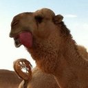 الجمل (@09iiii) Twitter