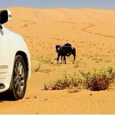 hadj8813's profile picture. PIN:27AD31F6