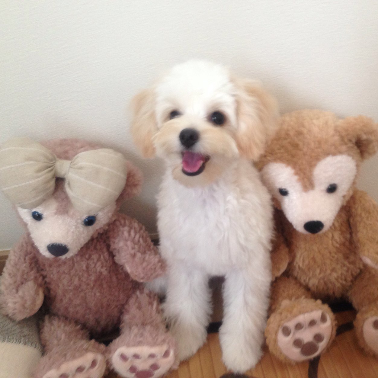 secondcup626's profile picture. 大阪出身でぇ～す(￣∇￣*)ゞカナダのsecondcupで4年ほど働き、現在は横浜の某☆バで、只今働いて8年目突入です♪