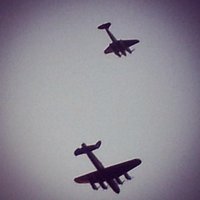 Alpha Bravo (@alphabravostdio) 's Twitter Profile