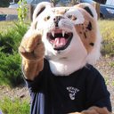 Matthew Daly - @BuckleyBobcats - Twitter
