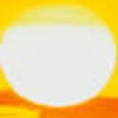 Whats:   (83)  +55 8861 - 4487