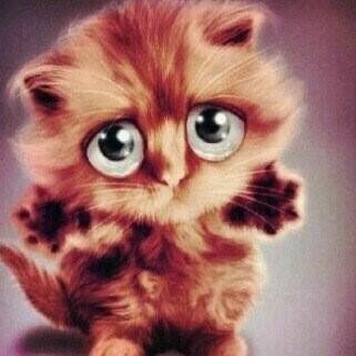 ‏‏‏‏انفضلك كل مفضلتك ؟ سوي فولو هنا ‎@lliil9_
