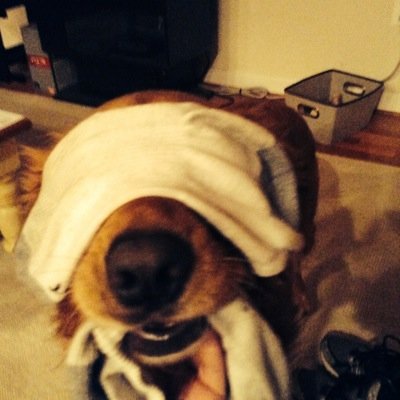 aim_dead's profile picture. 