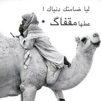 رجلٍ بلا لآبه يِهزم وينهان * لو كان في القوم ساطيةٍ مضاريبه ورجلٍ بربعه ع العدوان له شآن * وتخضع له رقاب روس الناس وتهيبه