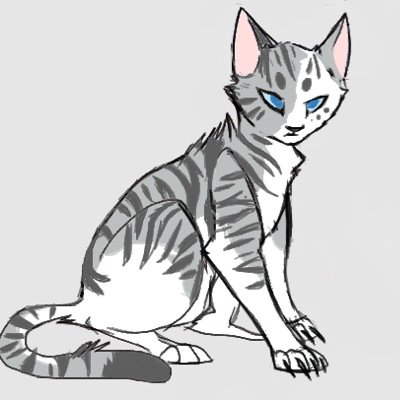 Im Mocking Jay, most cats dispise me for my love of birds. I can heal the blind and sick. Im in the trees more than Im on the ground! RiverClan med cat.