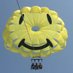 grandbendparasail (@gbparasail) Twitter profile photo