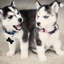 John Post - @JohnPost89 - Twitter