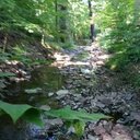 Jordan Scarbrough - @JcScarby - Twitter