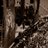 RockReflected's profile image