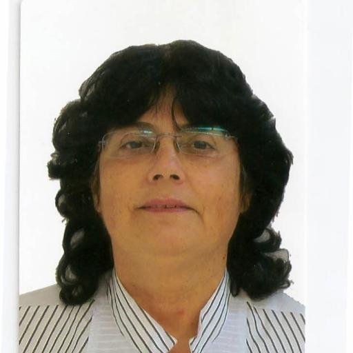 Presidente Estatual da diversidade do PTB
