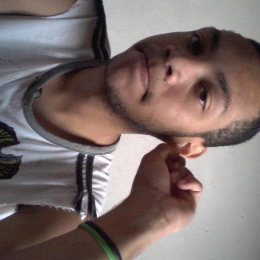 Boydirectioner, coelhos pulem, pulem :3