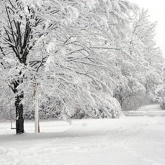 cakisc's profile picture. embracing the journey.