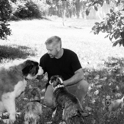 In home animal training consultant and pet/horse home care.