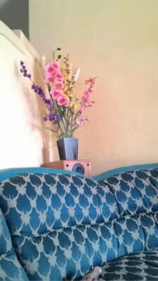 f34b372054f6484's profile picture. 