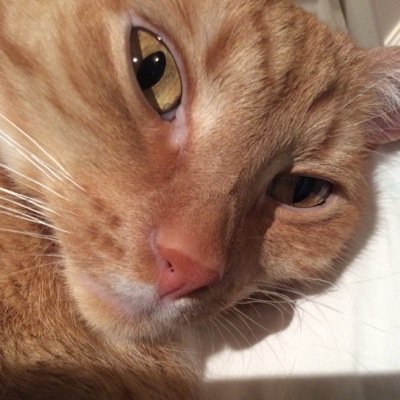 angie__vvw's profile picture. Cheers to the teenage years