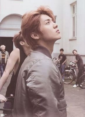 EXO-L~!! || follow me and i'll follback you..♥ || follback me if I will not unfoll!!