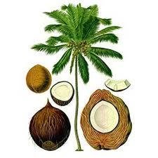 psicocotera's profile picture. Psicóloga ucabista navegada. Ir al psicólogo no significa que estés mal del coco sino que no tienes miedo de verte en un espejo