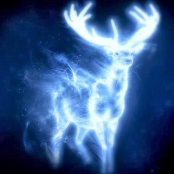 Enchanted Deer since 2009; Private Individual; You must believe in magical deer. Right?